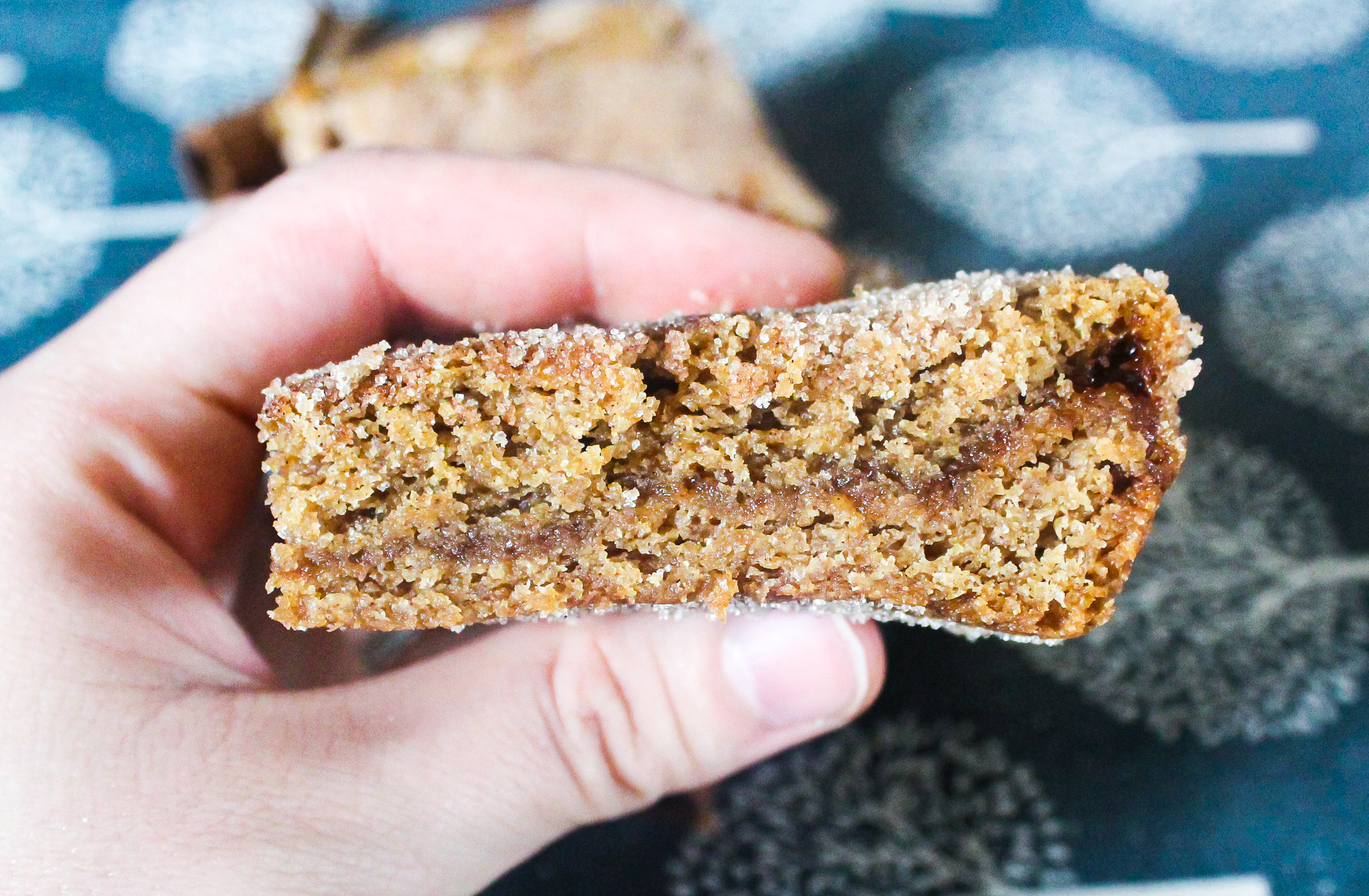 apple butter snickerdoodle bars